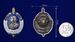 Знак 300 лет Российской полиции 5
