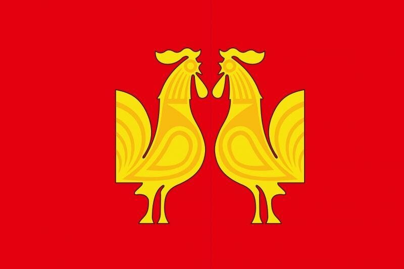 Флаг Петушинского района Владимирской области