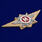 Знак классного специалиста МВД России (Мастер) 2