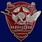 Значок Орден Трудового Красного Знамени Белорусской ССР копия 1