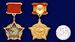 Знак Воину-интернационалисту в наградной коробке с удостоверением в комплекте копия 8