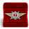 Знак в бархатистом футляре Росгвардии Квалификационное звание Специалист 2-го класса 2