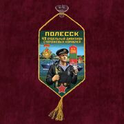 Вымпел 49 ОДнПСКр Полесск на присоске 