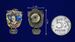 Знак Маргелов В.Ф. 4