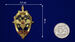 Декоративный жетон МВД (3,5x5,0 см) 6
