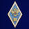 Знак Об окончании педагогического ВУЗа РФ