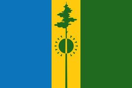 Флаг Нижнекамска