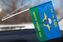 Флажок с присоской 44 гв. ВДД ВДВ