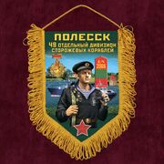 Военный Вымпел 49 ОДнПСКр Полесск