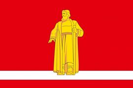 Флаг Сусанинского района Костромской области