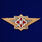Знак в бархатистом футляре ФСИН Мастер 6