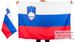 Флаг Словении 2