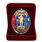 Знак в бархатистом футляре100 лет РГВВДКУ им. В. Ф. Маргелова 2