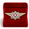 Знак в бархатистом футляре классного специалиста МВД России (Мастер) 2