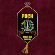 Вымпел принт РВСН После нас тишина на присоске
