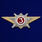 Знак Росгвардии Квалификационное звание Специалист 3-го класса
