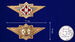 Знак в бархатистом футляре ФСИН Мастер 8