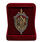Знак в бархатистом футляре Ветеран службы КГБ-ФСБ 2