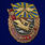 Знак За службу в ВВС