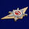 Знак Росгвардии Квалификационное звание Специалист 3-го класса 2
