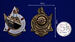Знак Знак ОСВОДа Лучшему ударнику муляж 3