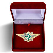 Знак в бархатистом футляре ФСИН Специалист 3 класса