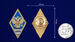 Знак за окончание Серпуховского военного института ракетных войск 3