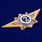 Знак классного специалиста МВД России (специалист 2-го класса) 2
