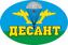 Автомобильная Наклейка Десант 1