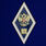 Знак Об окончании гуманитарного ВУЗа РФ 1