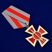 Медаль казаков РФ За спецоперацию