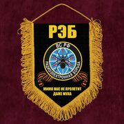 Вымпел РЭБ