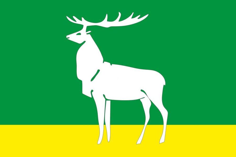 Флаг Бузулука