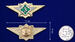 Знак в бархатистом футляре ФСИН Специалист 3 класса 7