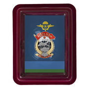 Знак 217 Гв. ПДП в наградной коробке с удостоверением в комплекте