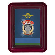 Знак 98 Гв. ВДД в наградной коробке с удостоверением в комплекте