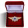 Знак в бархатистом футляре классного специалиста МВД России (специалист 2-го класса) 1