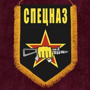 Военный вымпел спецназа