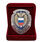 Знак в бархатистом футляре Отличник ФСО России 2