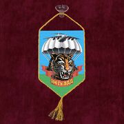 Вымпел 106 Гв. ВДД на присоске