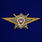 Знак Росгвардии Классная квалификация Мастер