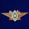Знак ФТС  Мастер 1