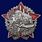 Знак Герою октябрьских и январских событий 1917–1918 гг копия 