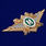 Знак ФТС  Мастер 2
