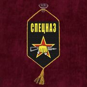 Вымпел спецназа на присоске