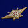 Знак Росгвардии Классная квалификация Мастер 2