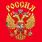 Футболка Герб Российской Федерации (Красная) 3