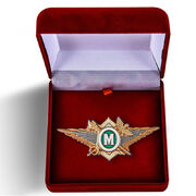 Знак в бархатистом футляре ФТС  Мастер