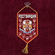 Вымпел принт Росгвардия РФ на присоске