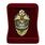 Знак в бархатистом футляре Почетный сотрудник ФПС 3